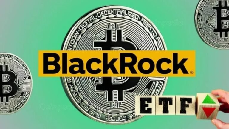 Bitcoin Price Drops to $65K After BlackRock Bitcoin ETF Sees $32.99M Outflow