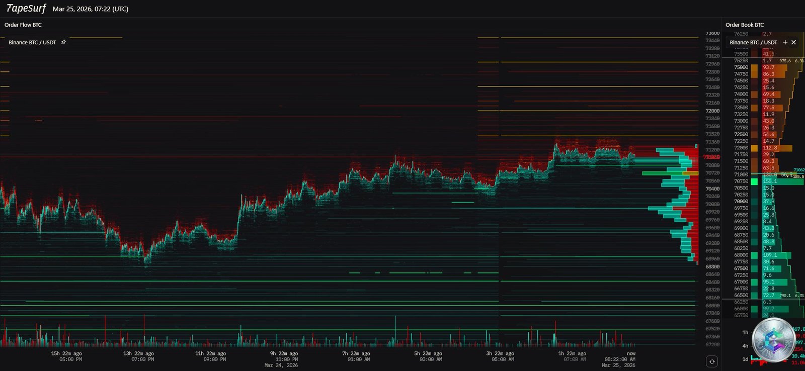 Bitcoin Order Flow Heatmap - BTC Order Book Analysis