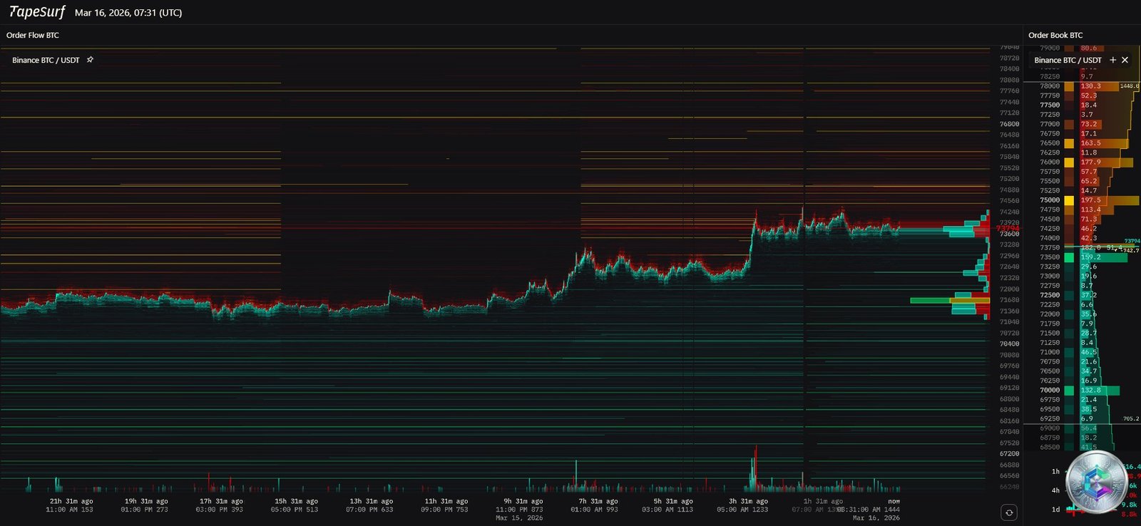 Heatmap Order Book Bitcoin - TapeSurf