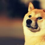 Voici pourquoi le prix du Dogecoin risque de s’effondrer à nouveau